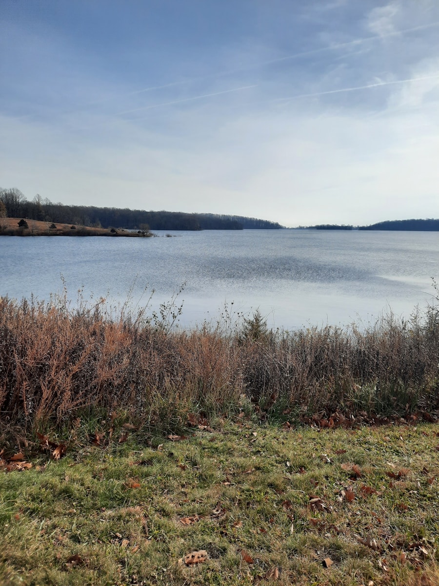 Drowning and near-drowning